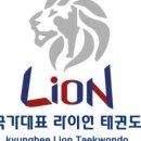 국가대표 라이언 태권도장 이미지