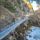 바다부채길2 | [공지] [강릉 정동진] 2026 정동심곡 바다부채길 다녀온 후기 : 입장료, 주차, 소요시간