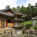 경주 망월사 삼층석탑 慶州 望月寺 三層石塔 이미지