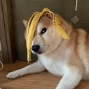 양양오토자동차 | 양양/2025오토살롱/9월의 마지막 2