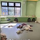 평화유치원 이미지