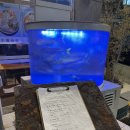 진명상회 | 부산 광안리 이자카야 대방어 시즌 시작하는 럭키상회