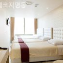 호텔 코지 명동 네이버블로그
