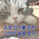 더리터 삼계점 | 고양이 용품 내돈내산 후기 장난감 리필 사료 모래 간식