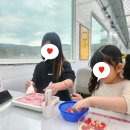 소중농장 | 경기도 여주 설향 딸기농장 체험 후기 소개 | 아이와 함께 즐거운 딸기 수확 체험