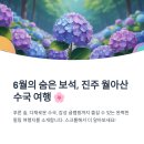 진주 월아산 숲속의진주 수국｜글램핑과 함께하는 당일치기·1박2일 여행 추천