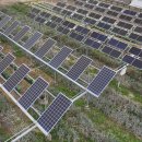 MK태양광발전소 이미지