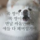 복싱인사이드짐 역삼직영점 | 선생님을 만난 복린이 역삼동 짱 먹은 썰 푼다 <복싱인사이드짐 역삼직영점> 강남역 1:1복싱 수업 솔직후기