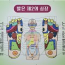 리얼클린 이미지