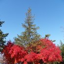 백암소공원 이미지