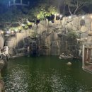 옥수풀빌라 이미지