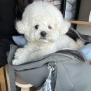 평촌나무동물병원 이미지