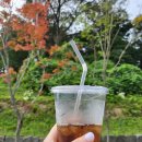 충남할인마트 - 서구 국채보상로48길 61 | 충남할인마트
