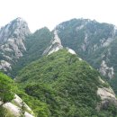 (주)신동영