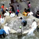 월포 락 페스티벌 이미지