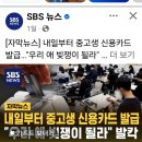 20260505, 정치경제문화등등의 동향 이미지