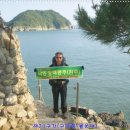 몰운대 표지석 이미지