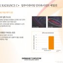 비비딕스