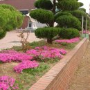 원평초등학교 이미지