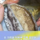 완도어린이집 이미지