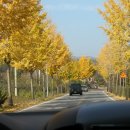 봉화로1 이미지