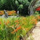 신안(여) 이미지