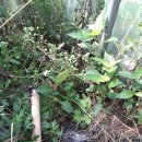 초촌농장 이미지