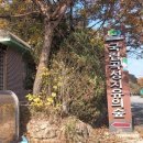 곡성-176 이미지