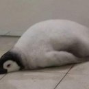 다이나믹 복싱체육관 이미지