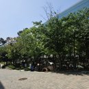 해피데이 | 삼성전자 어린이날 행사 나노시티 해피데이 2024 화성 후기