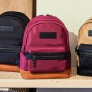 라빠레뜨 카카오 검색결과