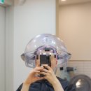 대연동 에코레비 두피스케일링 헤어클리닉 미용실연주