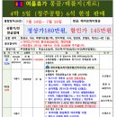 다솜여행사