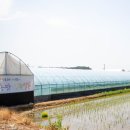 얼쑤농장 이미지