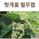 지리산토종먹거리