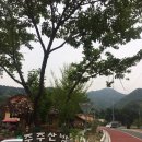 주주산방 | 강원도 원주 한옥펜션 주주산방 후기
