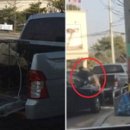 한 동물병원 이미지