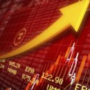 엠에스쇼핑 이미지