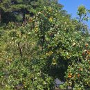 신흥1마을회관 이미지