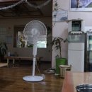 박가네통채칼국수 이미지