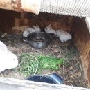 섬강농원 이미지