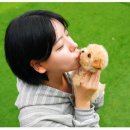 해피하개 애견샵 | 대구애견샵 전문적인 테디럽