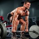 머슬메모리 이미지