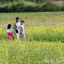 황룡친수공원 이미지