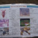 남원읍-43 이미지