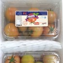 순이네과일