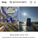 알로하스테이 이미지