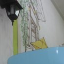 올리브펫 이미지