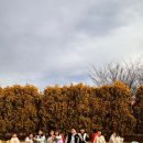 카페01 이미지