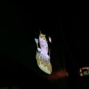 오꼬다꼬 전대후문점 이미지